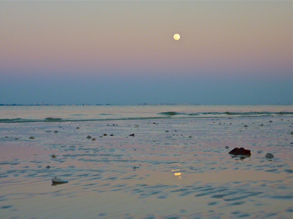 Sanibel full moon low tide