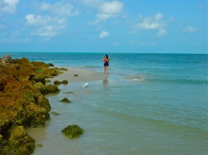 Little Hickory jetty rocks