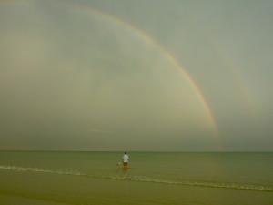 Shelling Rambo Under the Rainbow