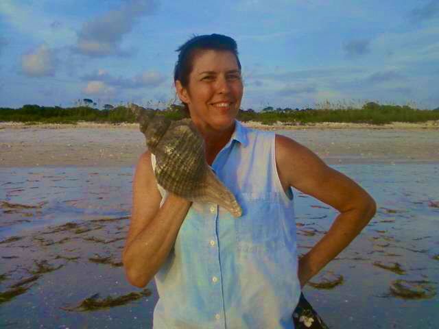 Florida Horse Conch