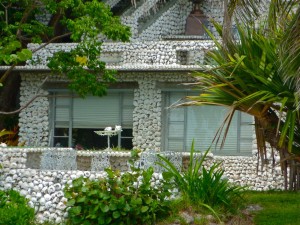 whelk and conch sea shells built a house on Pine Island Florida
