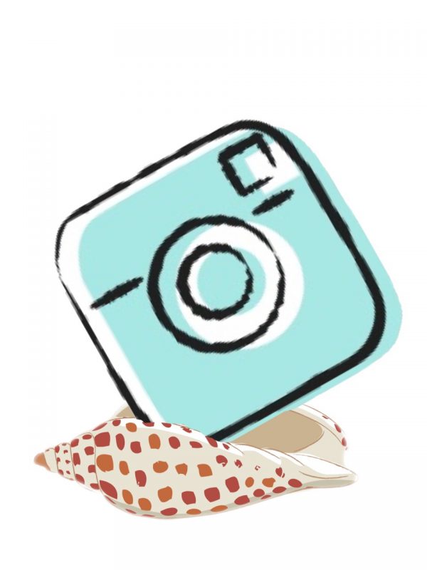 instagram social icon instagram social icon – I Love Shelling