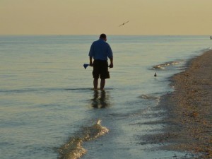 seashell collecting