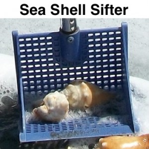 Winner of Sea Shell Sifter Scoop!