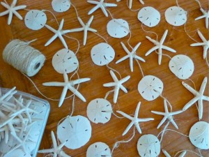 Starfish Sand Dollar strand decor