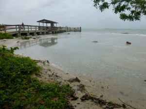 Tropical storm Debby flood