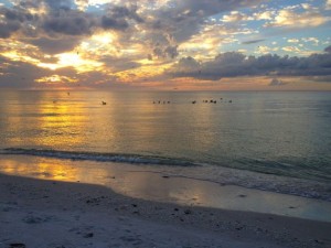 Little Hickory Sunset Seashells | I Love Shelling