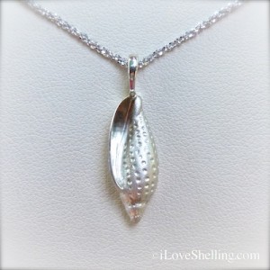 Seashells and Beach Bling at Shellabaloo 3 Shell 'N Tell | I Love Shelling