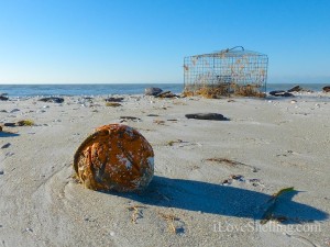 crab trap and buoy on sanibel beach