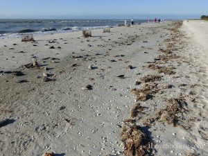 sanibel beach after storm winds