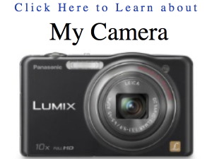 my panasonic beach camera