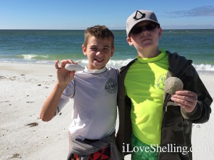 boys finding shells