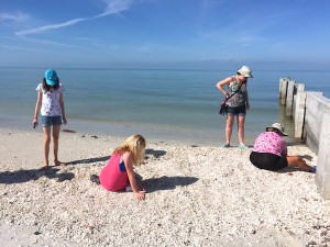 collecting shells in Bonita Florida