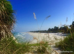 Egmont Key Island Beach Florida