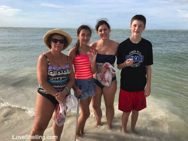 Warm, Colorful Shells on A Sunny Beach | I Love Shelling